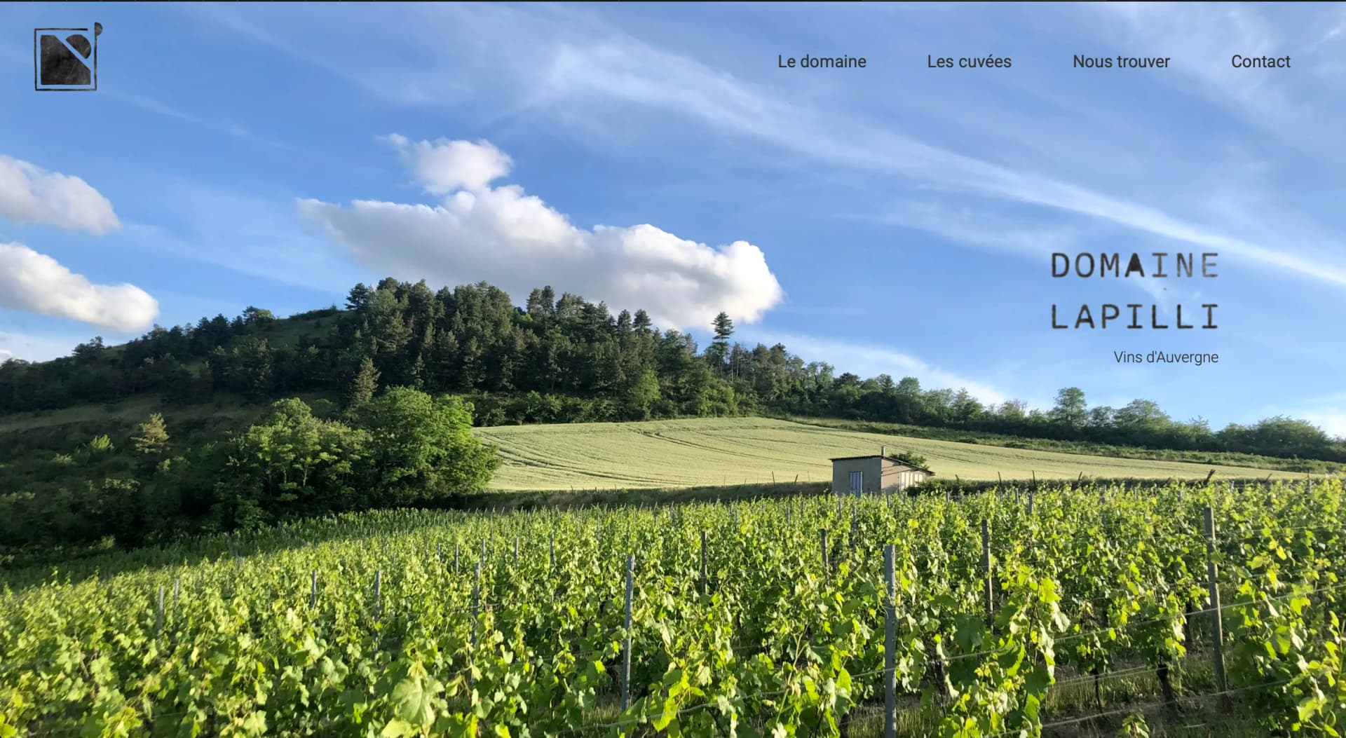 Domaine Lapilli